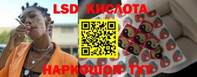 стафф Дмитров