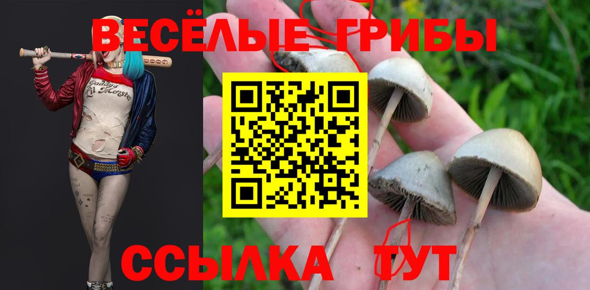 Псилоцибиновые грибы Magic Shrooms  Галлюциногенные грибы Cubensis  Вход с VPN  Назарово 